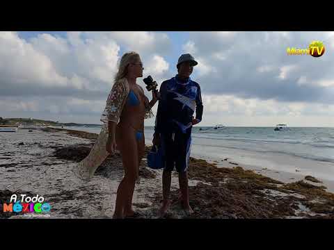 Nude Tulum Tours Snorkeling – Miami TV – Jenny Scordamaglia 2021 - Pornredit